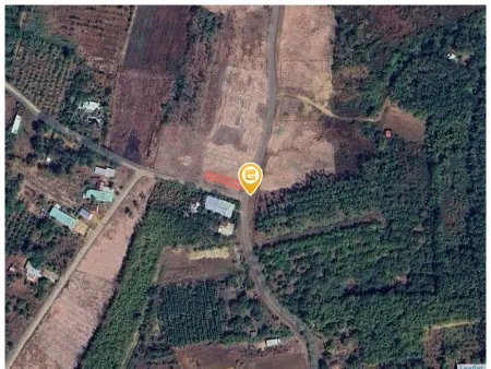 Bán đất 200.9m² 390 triệu tại Xã Thanh Phú Thị xã Bình Long