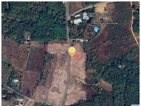 Bán đất 196.2m² 390 triệu tại Xã Thanh Phú Thị xã Bình Long