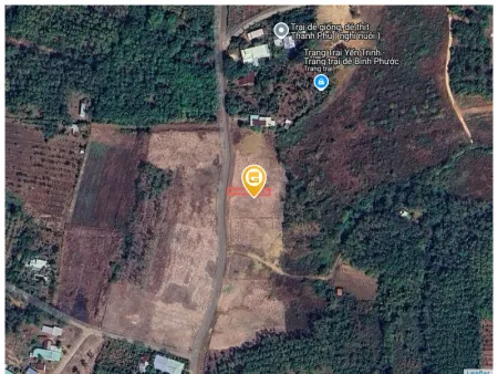 Bán đất 217.3m² 390 triệu tại Xã Thanh Phú Thị xã Bình Long