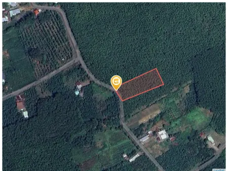 Bán đất 3142.4m² 2 tỷ tại Xã Tân Thành Huyện Bù Đốp