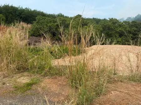 CHÍNH CHỦ CẦN BÁN LÔ ĐẤT VỊ TRÍ ĐẸP TẠI THỊ TRẤN TÂN PHÚ - ĐỒNG PHÚ  - BÌNH PHƯỚC.