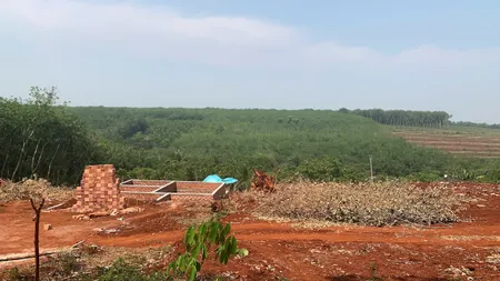 CƠ HỘI ĐẦU TƯ VÀ AN CƯ, BÁN LÔ ĐẤT GIÁ RẺ BÌNH PHƯỚC CHỈ 245 TRIỆU – SỔ RIÊNG – SINH LỜI