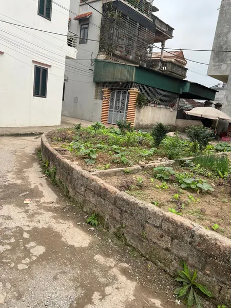 Đất lô góc , đường rộng 5m