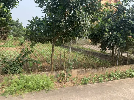 Cần bán