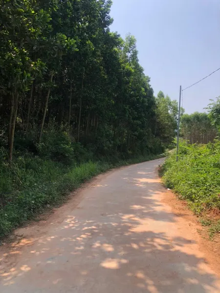 Bán đất 3098m², 90m mặt đường bê tông, 400m đất thổ cư, 1.65 tỷ tại Xã Lục Sơn Huyện Lục Nam