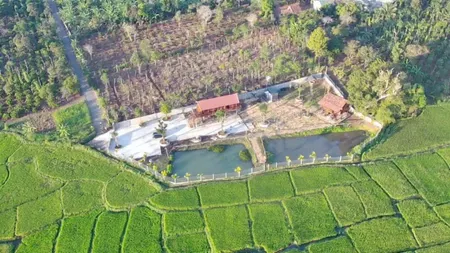Bán đất 1768.8m² 990 triệu tại Xã Ea Bar Huyện Buôn Đôn