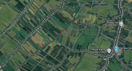 Bán đất 26661m² 795 triệu tại Xã Hòa Tân Huyện Châu Thành
