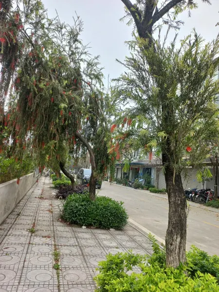 SIÊU HIẾM - VỊ TRÍ ĐẸP - ĐẲNG CẤP SỐNG XANH KĐT Geleximco - Lê Trọng Tấn