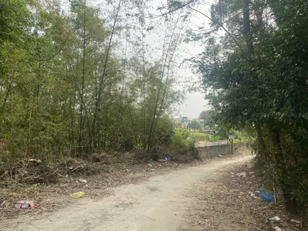 Đất rừng giá rẽ