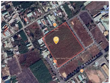 Bán đất 17634.2m² 55 tỷ tại Xã Phước Thái Huyện Long Thành