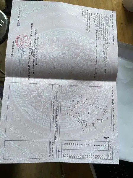 Nhà Đất Bình An Long Thành Đồng Nai