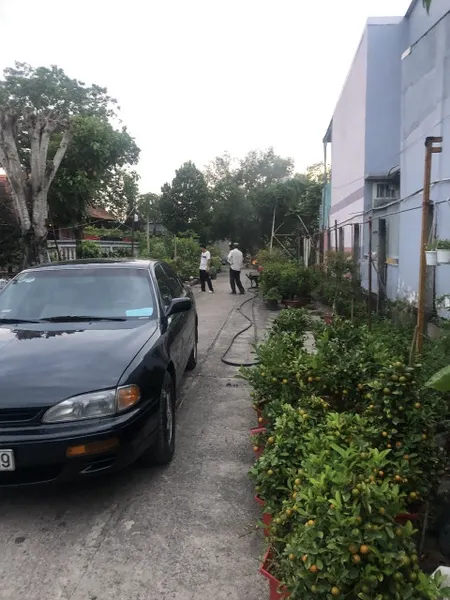 Bán đất mặt tiền đường số 88, xãTân Phú Trung, Củ Chi, 25x64m, 1590 m², thổ cư 200 m², 18 tỷ