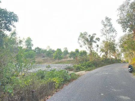 Nhà có việc b,á.n nhanh mảnh vườn mặt tiền đường nhựa 8m view đẹp