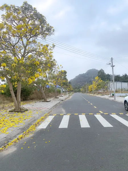 Nền đẹp cạnh Kim Quy dự án Đại Phúc