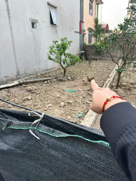SIÊU PHẨM KIM LÂM - TT KIM BÀI - THANH OAI - Thành Phố Hà Nội