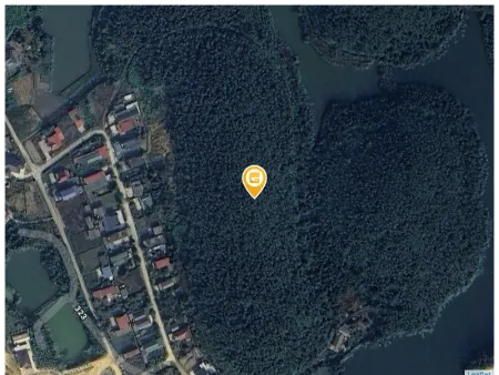 Bán đất 31210m² 7.5 tỷ tại Xã Lương Sơn Huyện Yên Lập
