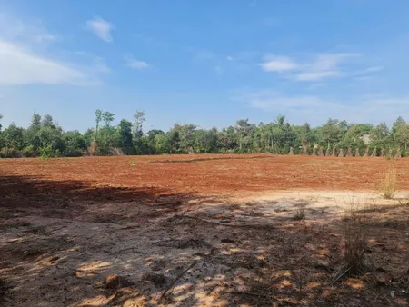 Bán đất mặt tiền đường nhựa Xuân Tâm Trảng Táo Xã Xuân Tâm Huyện Xuân Lộc
