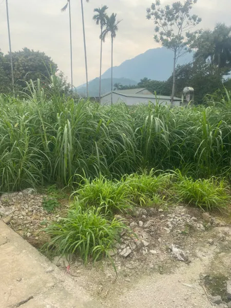 ĐẤT ĐẸP - GIÁ TỐT - Vị Trí Đắc Địa Tại Thôn Rùa, Xã Vân Hoà, Huyện Ba Vì, TPHN