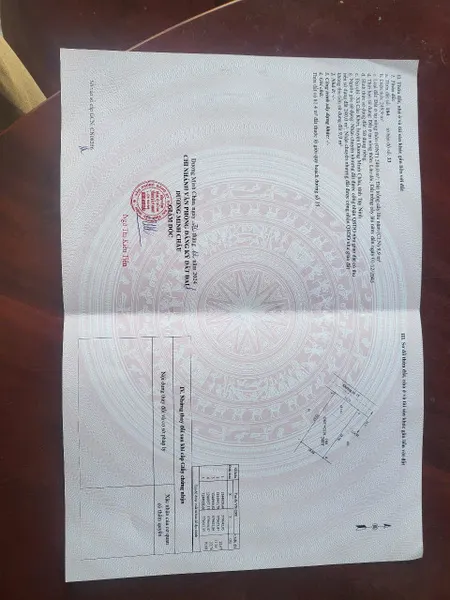 Đầu tư xin lời
