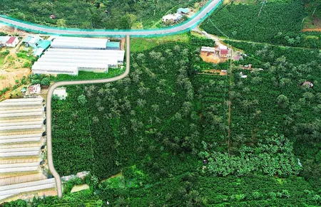 GIẢM MẠNH TỪ 19TỶ LÔ ĐẤT MẶT TIỀN QL20 BÁN SÁT VỐN CHỈ CÒN GẦN 18TỶ