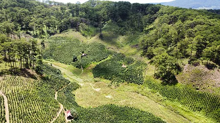 BÁN LÔ ĐẤT TẠI ĐA KHAI, XÃ ĐA CHAIS, GIÁP KDL ZOODOO, HUYỆN LẠC DƯƠNG