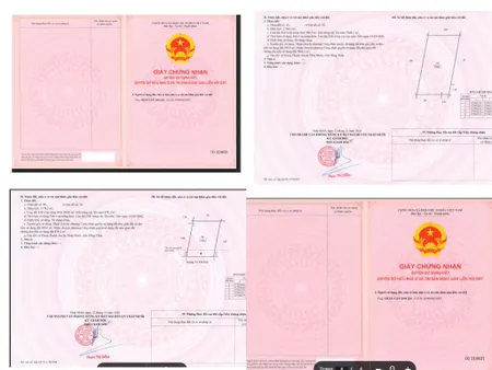 Cơ Hội Dành Cho Nhà Đầu Tư Đất Chính Chủ Đường DT 844, Hưng Thạnh, Tháp Mười, Đồng Tháp