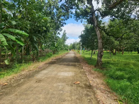 Bán đất đường bê tông view hồ gia ui Xã Xuân Tâm Huyện Xuân Lộc