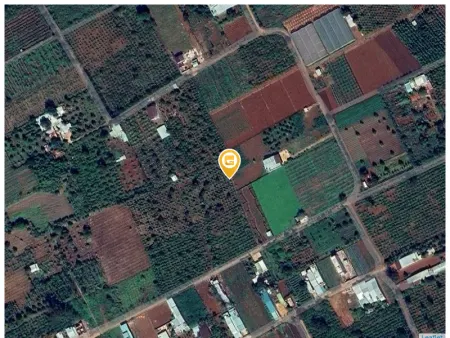Bán đất 1000m² 2.9 tỷ tại Thị trấn Chư Sê Huyện Chư Sê