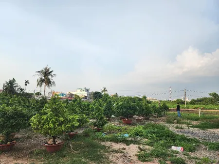 Bán đất An Phú Đông, Quận 12, 1400m2 , HXH, ngang 54m, siêu khủng, Gía chỉ 24.5 Tỷ TL