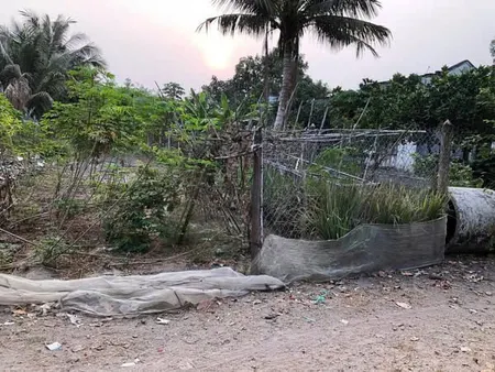 CHÍNH CHỦ CẦN BÁN GẤP LÔ ĐẤT Tại XÃ TÂN HƯNG - TÂN CHÂU - TÂY NINH.