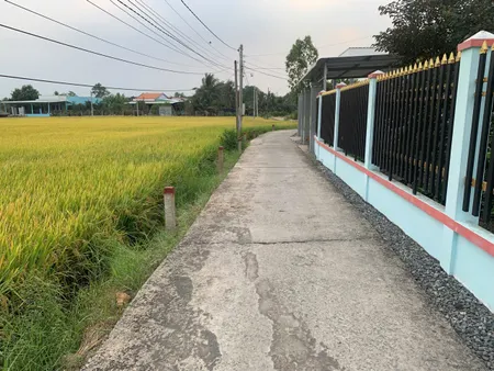 THỔ CƯ NGAY TRUNG TÂM THỊ TRẤN TÂN TRỤ- Diện tích 5x32m (160m2) đất ở đô thị (ODT)🫶 Giá 790tr thương lượng
