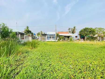 Bán nền thổ cư gần Ngã4 chợ tảo- Diện tích 5x24,5m (123,2m2)✅ Giá 475tr bớt lộc.