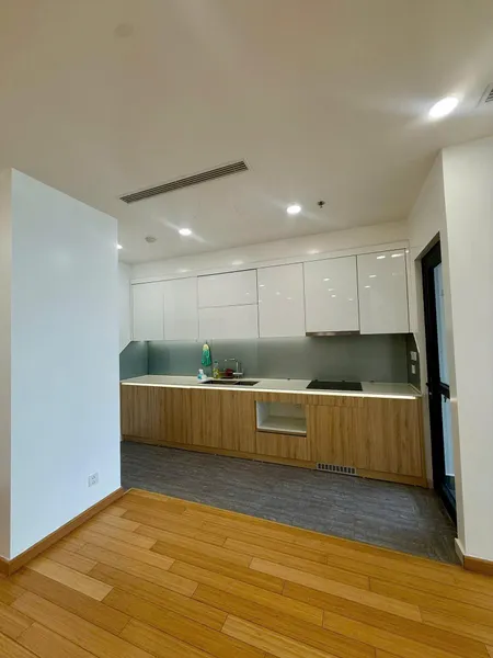 Căn hộ 2 phòng ngủ, 94m. Nội thất như trong ảnh. Chung cư The Zei, Lê Đức Thọ.