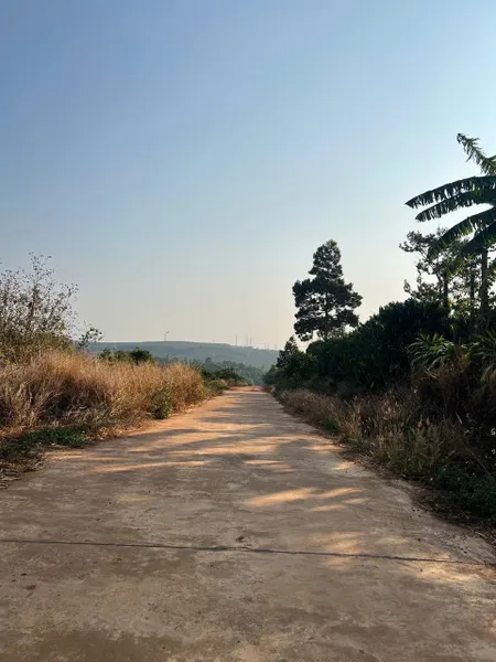 🌎 Đất siêu dài hẻm Trần Can, Diên Phú