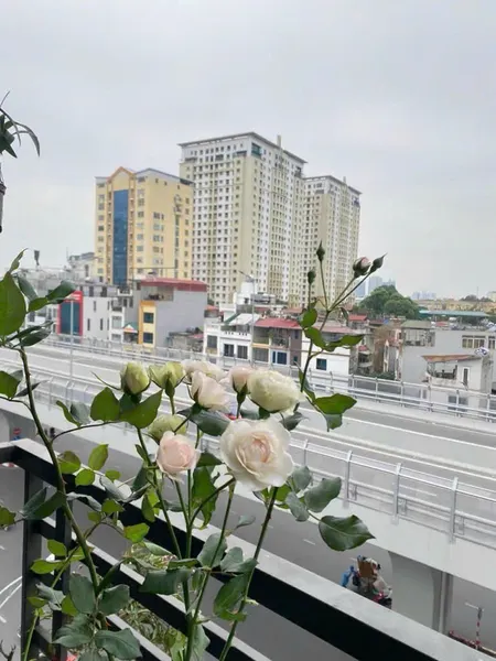 SIÊU HIẾM –MẶT PHỐ MINH KHAI, HAI BÀ TRƯNG NHÀ 7 TẦNG THANGMÁY.
-DT:30M2 - MẶT TIỀN TRÊN 6 MÉT 
DÒNG TIỀN ỔN ĐỊNH VỊ TRÍ ĐẮC ĐỊA, KINH DOANH SẦM UẤT, VỈA HÈ RỘNG. GIÁ CHỈ: 19.9 TỶ.CÓ TL.