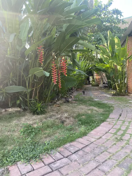 Bán đất 2293m² 20 tỷ tại Xã Nhơn Đức Huyện Nhà Bè