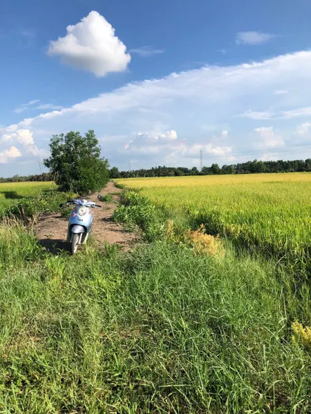 cần bán đất trống trồng cây thích hợp làm vườn ở củ chi