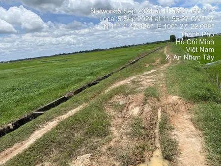 bán nhanh trong tháng, hoa hồng 5%. đất trồng cây tại củ chi