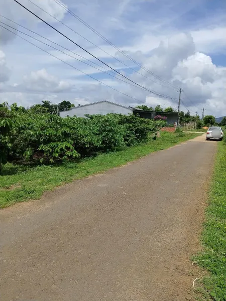 💥 1,5sào đất phủ hồng Ia Bá cách Uỷ ban 1km