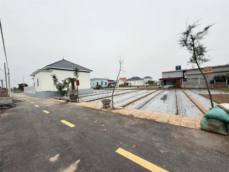 Hàng hiếm ven biển Quất Lâm, Nam Định, 1,2 tỷ, 92m2 gần biển, gần Flamigo, đường thông các ngả.
