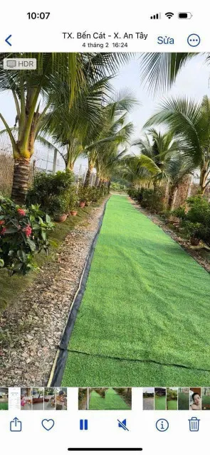 Bán nhà vườn đường nhựa An Tây Bến Cát Bình Dương
