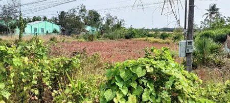 CHÍNH CHỦ CẦN BÁN LÔ ĐẤT VỊ TRÍ ĐẸP TẠI XÃ VIÊN AN - H. TRẤN ĐỀ - SÓC TRĂNG.