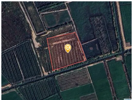 Bán đất 12351.8m² 5 tỷ tại Xã Mỹ Thạnh Đông Huyện Đức Huệ
