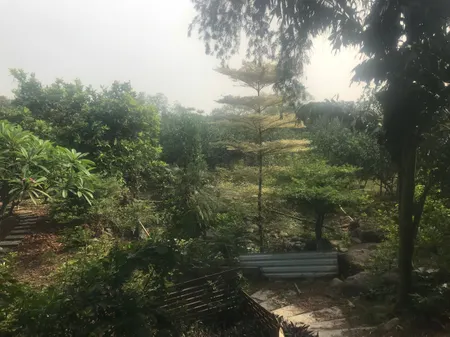 🏡 Cơ Hội Sở Hữu Đất Vườn 2400m² Tại Vĩnh Cửu – View Sông Thoáng Mát, Có Sẵn Cây Cảnh & Cây Ăn Trái