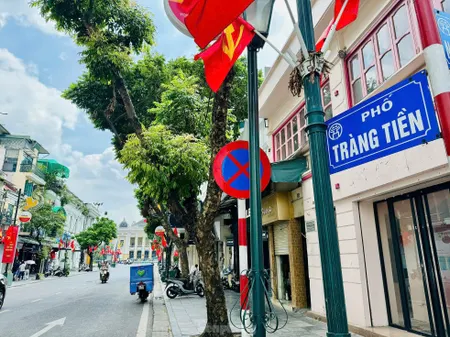 Mặt Phố Tràng Tiền mt5m2, giá siêu tốt, dt 100m2, chủ nhà thiện chí