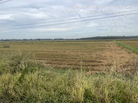 CHÍNH CHỦ CẦN BÁN ĐẤT Hoà Thạnh, Châu Thành, Tây Ninh GIÁ 1.8 TỶ