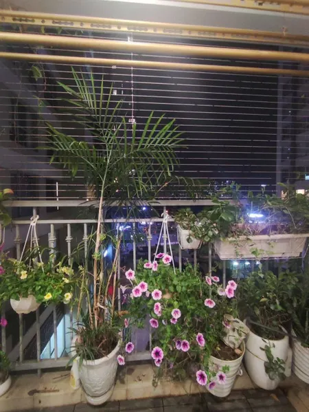 Căn hộ 82m, 2 phòng ngủ- Vinhome Gardenia Hàm Nghi. Thủ tục chuyển giao nhanh gọn.