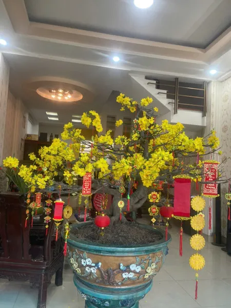Nhà phố xinh rẻ 5 x 14m 1 trệt 3 lầu Tạ Quang Bửu Q8 TP.HCM