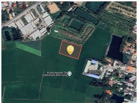Bán đất 31290m² 1.8 tỷ Thành phố Hồng Ngự