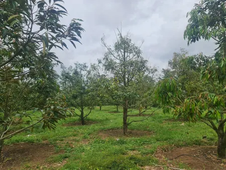 Bán đất view hồ gia ui Xã Xuân Tâm Huyện Xuân Lộc